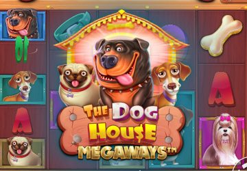 NOVOMATIC - игровой автомат онлайн от Various с RTP 96.98%